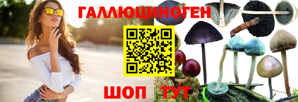 Галлюциногенные грибы мухоморы  Вход с VPN  Брянск  Псилоцибиновые грибы Psilocybe 